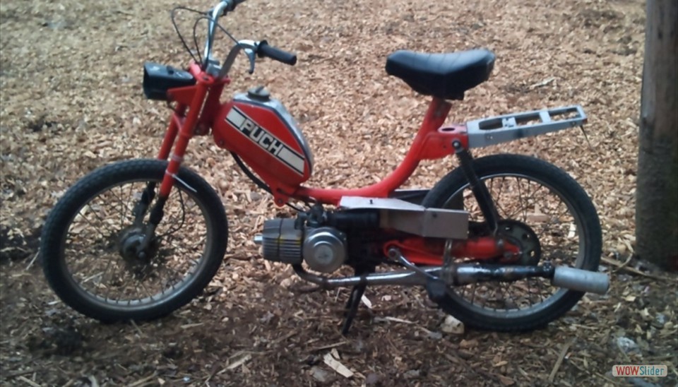 nicky_2010_01 nicky_2010_01